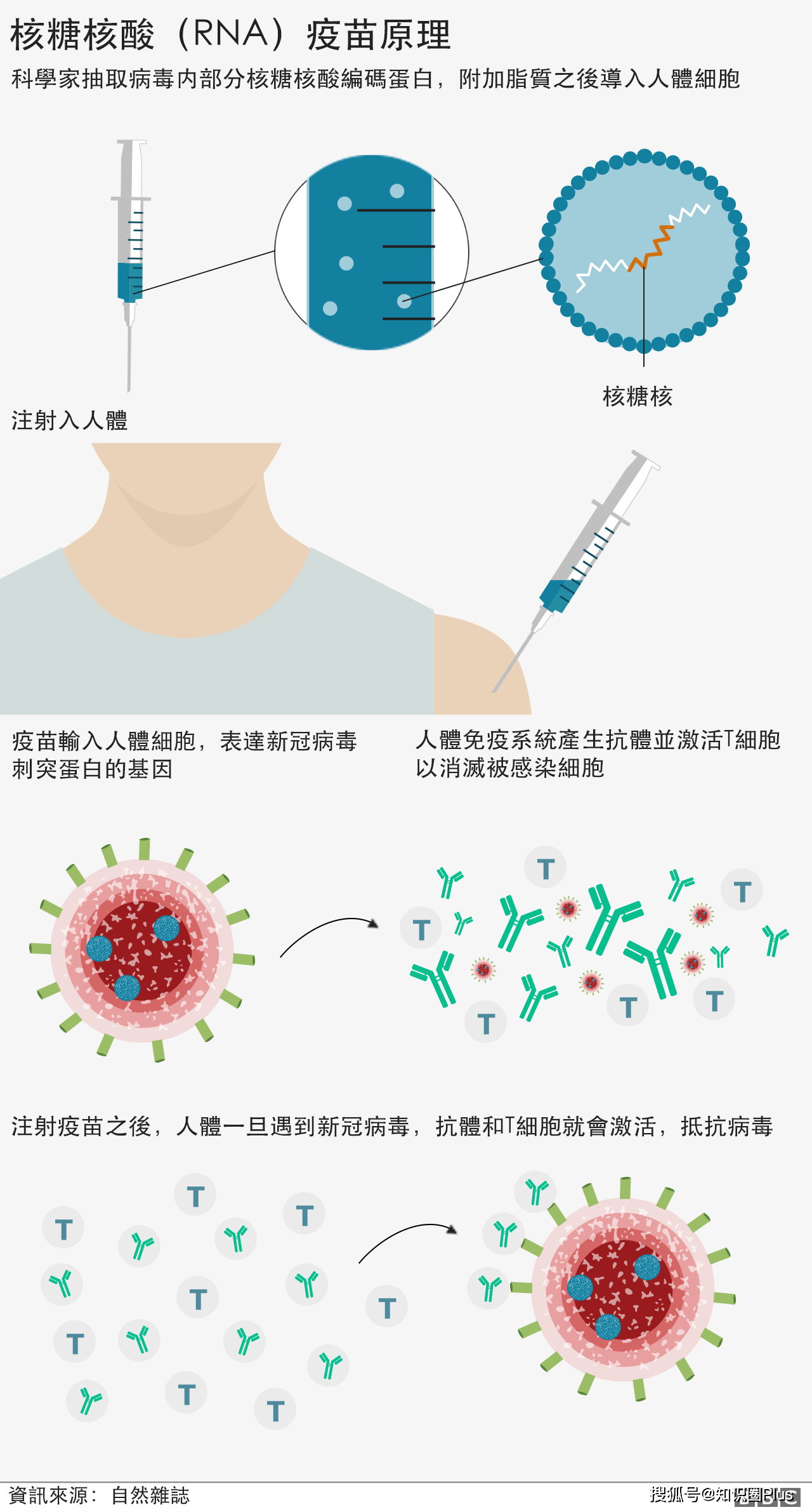 辉瑞人口环境分析_保护环境手抄报