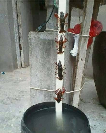 四个人口哨_四个人的闺蜜头像(2)