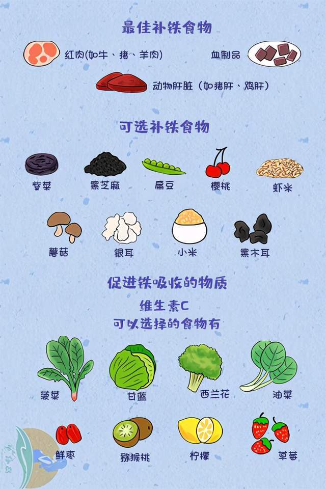 孕期怎样才能把铁补够?食补胜过补充剂,附孕妈妈补铁食物排行榜