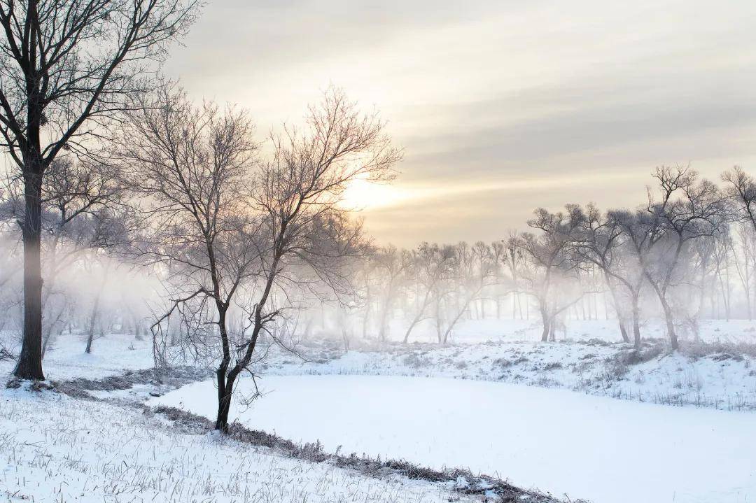 东北的冬天:奔赴"千里冰封,万里雪飘"雪国之约