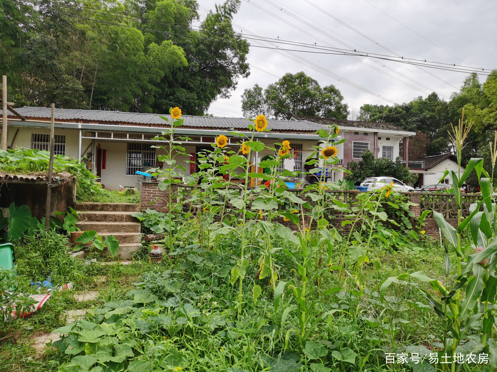 湖南长沙8亩农家院带土地出租湖南益阳资阳区3亩农院出租