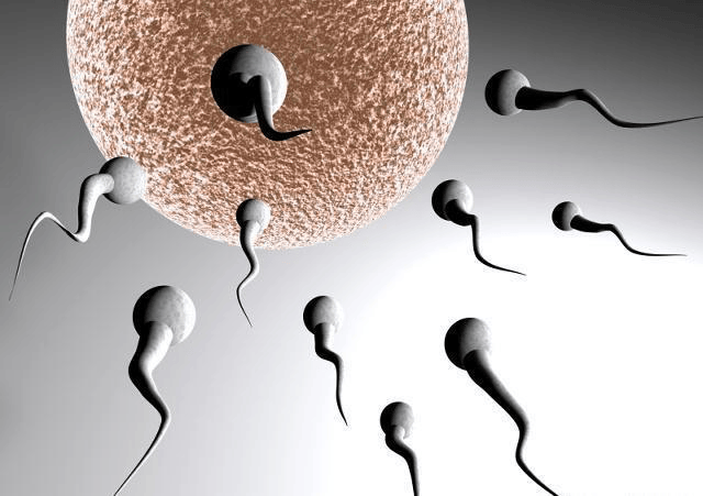 5a11a75a08b3496e9e8a075c8cd48244.png
