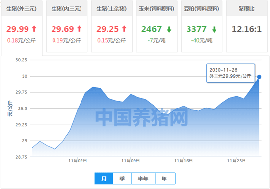 2023年11月24日生猪报价价格 be74bab375c1407291592141026f6347.png