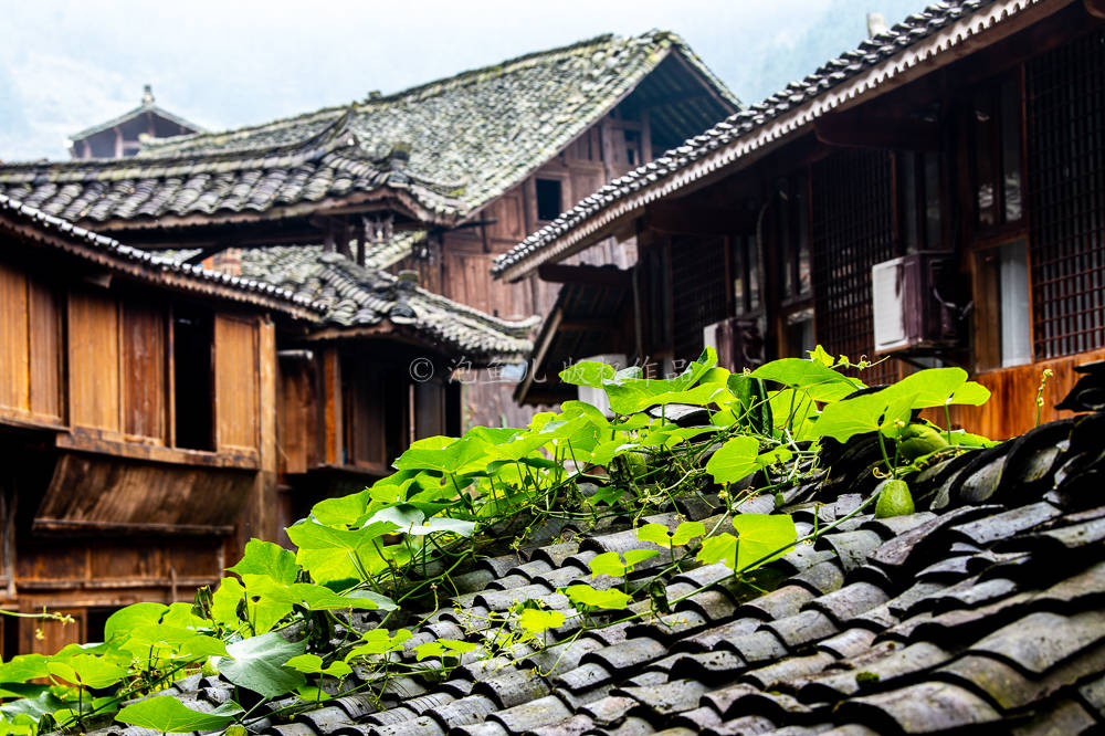 藏在贵州大山的西江千户苗寨，都说商业味太浓了，还值得一去吗？