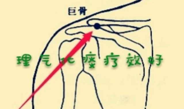 喉骨什么成语_喉骨图片(4)