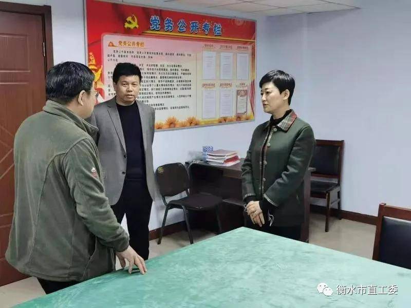 衡水市委市直工委调研组到市残联进行党建专题调研