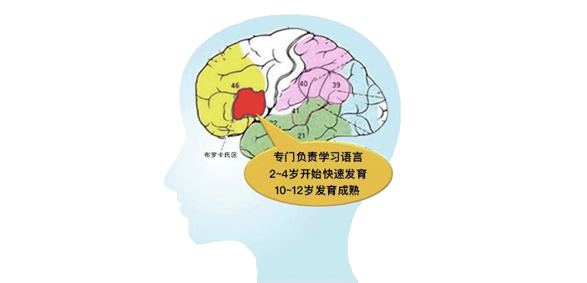 什么时候的记忆力最好 c961685bbbaa49e88b23eb01362f1d65.png