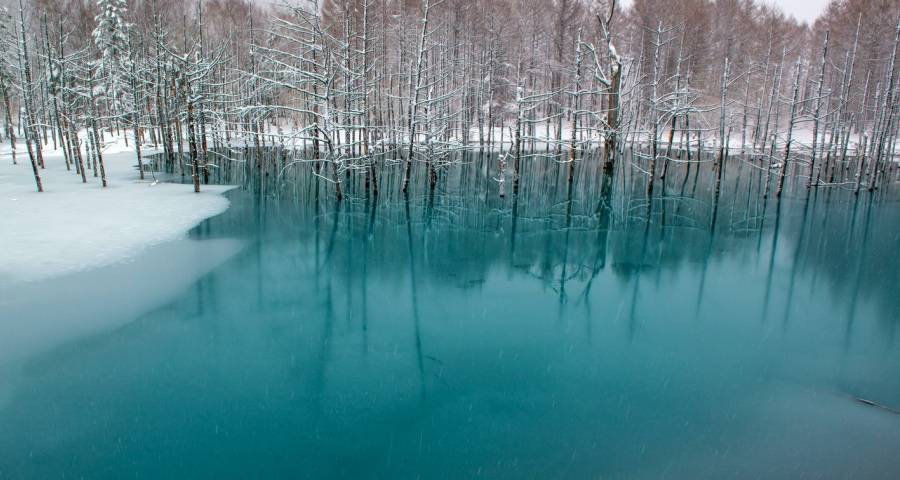 一些中外家电企业市场经营败局揭秘-家电圈官网