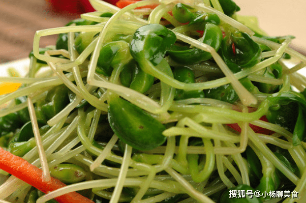 如何长豆苗 83e9a1c1e6824a8594ff362f7404b121.png