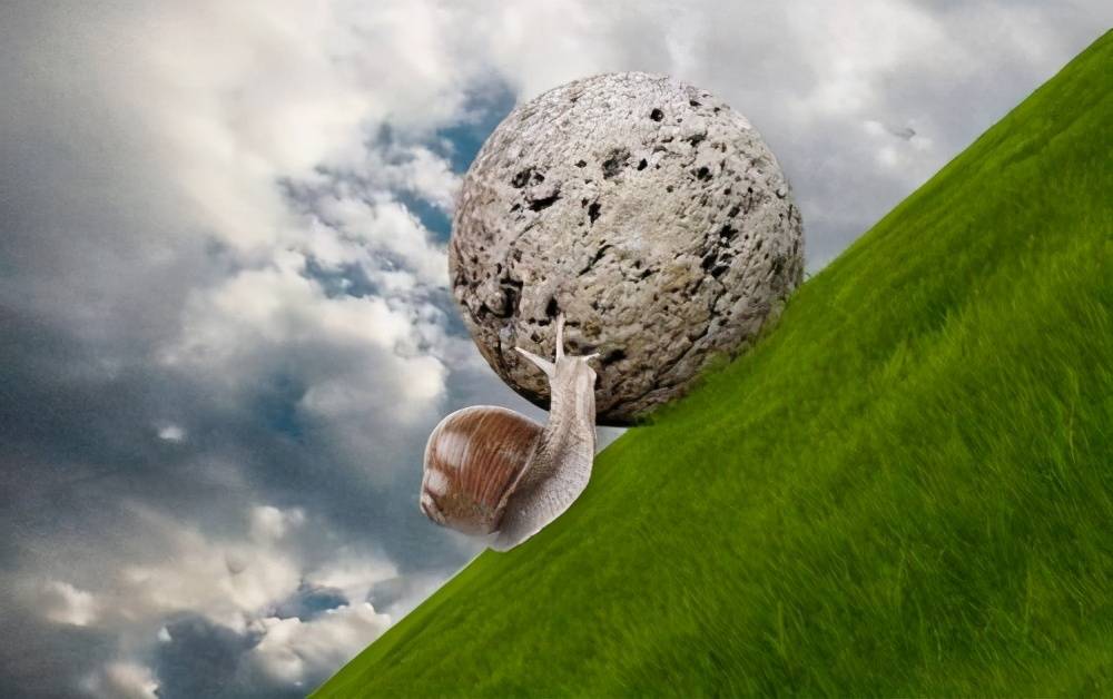 蜗牛人是真的吗 e4e141cd489346babb68f14e350b5a0a.jpeg