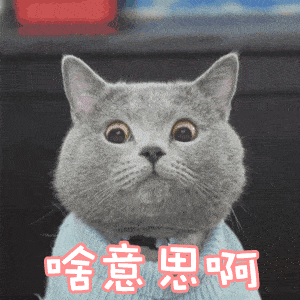 成都企业:今天起,企业登记业务迎大变化