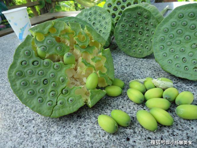莲子又称莲实,莲米,水之丹,是睡莲科多年水生草本植物莲的成熟种子.