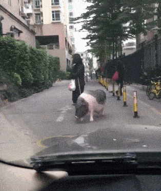 原创搞笑gif段子:这是什么操作,下次要试试