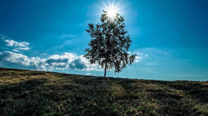今年家电厂商都这么努力了，为何市场仍然未见起色？-家电圈官网