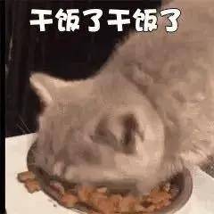 c45876376f7146c487367271639f5c48.jpeg