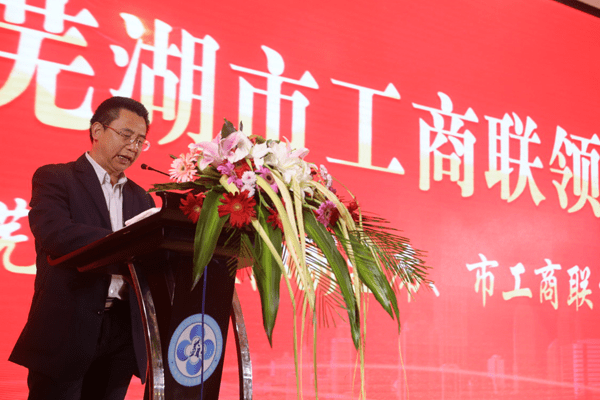 2020年芜湖gdp排名_安徽第二经济强市芜湖去年成绩单:GDP预计3560亿