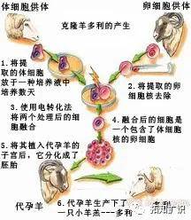 6a8f6b03c1374e3e9bc029d5a1f406e0.jpeg