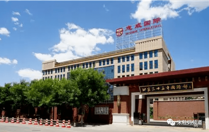 年轻妻子的工作鲨鱼 手机版哪个好