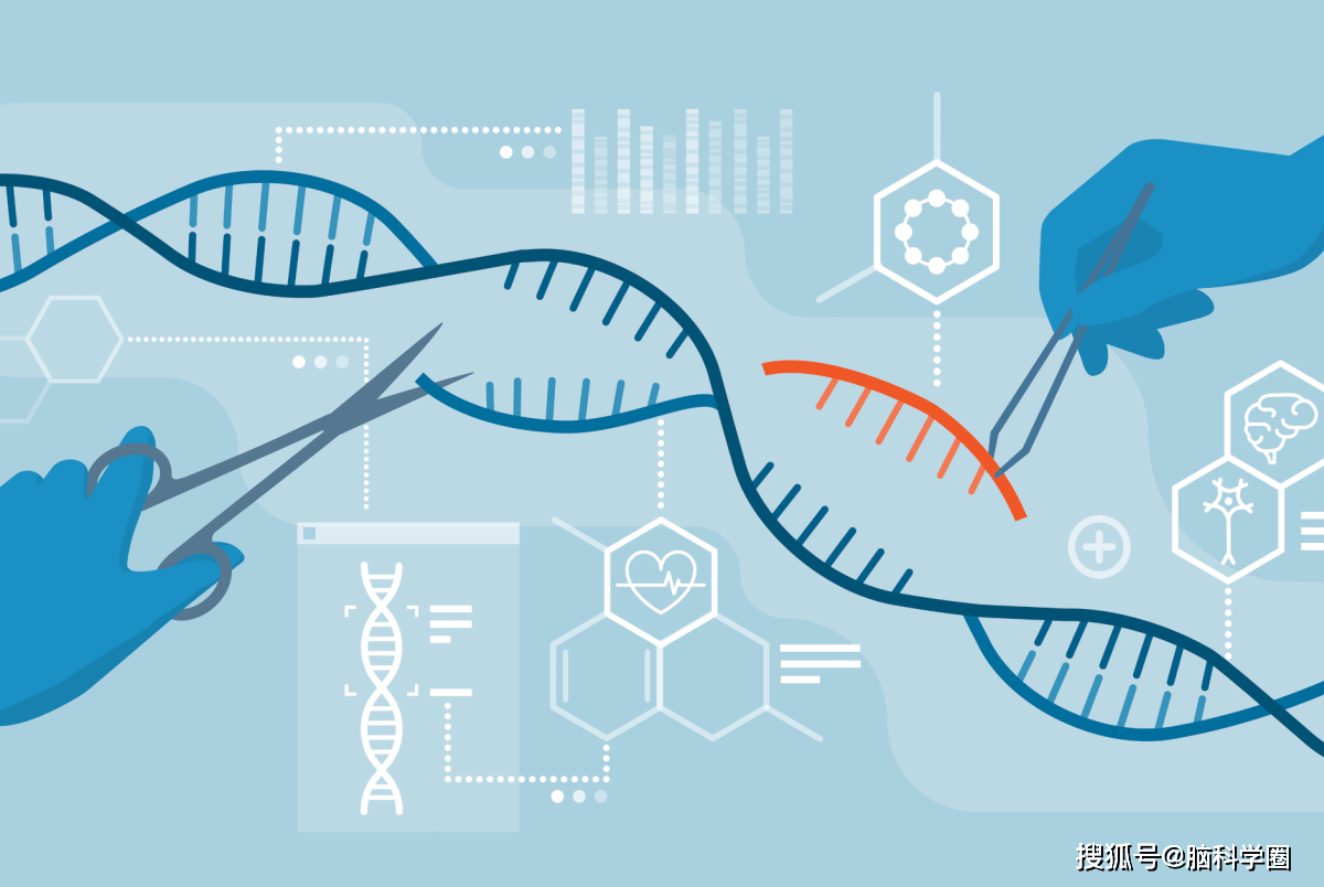 science 识别基因功能的新技术perturb-seq,并揭示自闭症有关风险