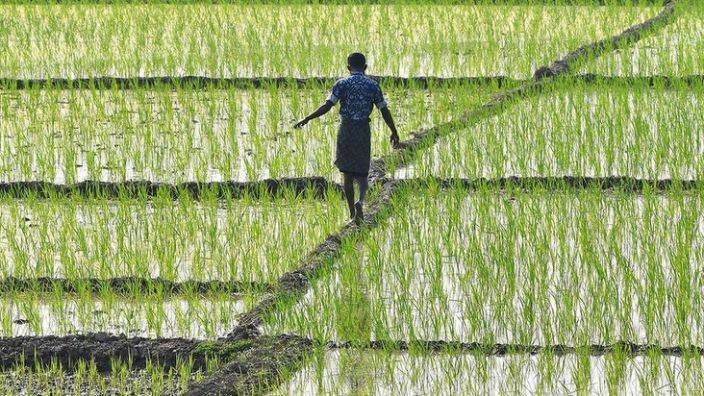 印度农民揭竿而起，莫迪想要农业改革难上加难