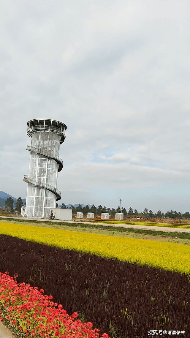 大雪前日访东阳市湖溪镇八里湾_田园