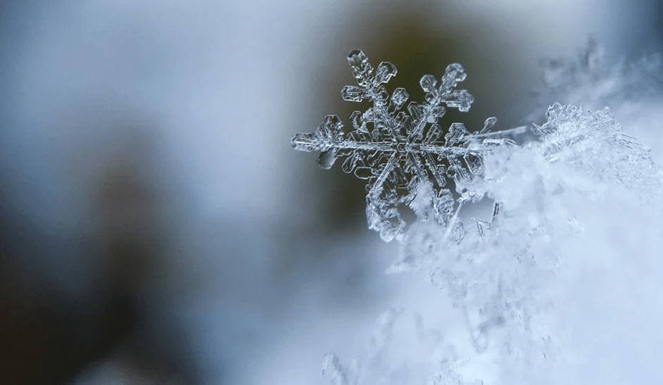 岁寒大雪纷飞养生保健很重要