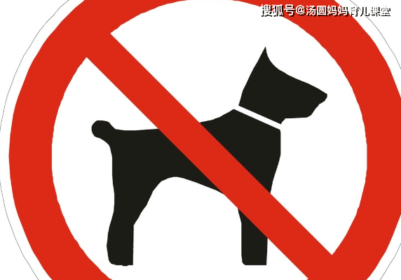 小区里禁止遛狗违者罚款200元我的宠物狗狗该不该留下来了
