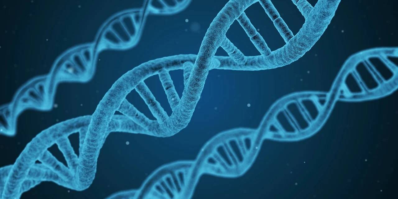 生物科技公司股权转让 9715701d0dcb4102959613fc7da1db34.jpeg