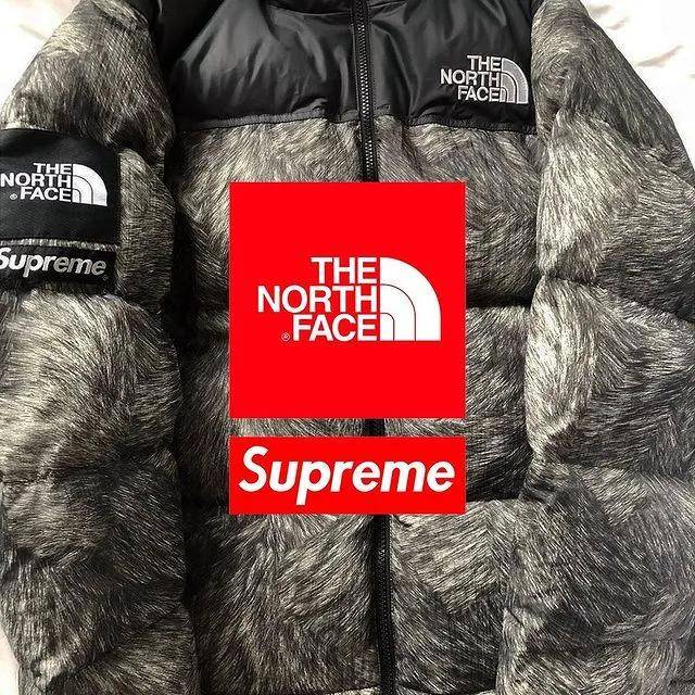 狼毛” 无了，本季第二弹Supreme x The North Face 正式发布！_手机搜狐网