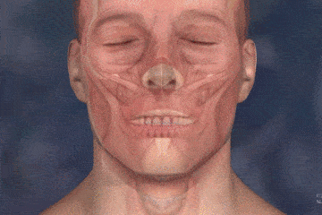 医生手术时，对病人切开的身体都做了什么？3D动画揭秘全过程（组图） - 5