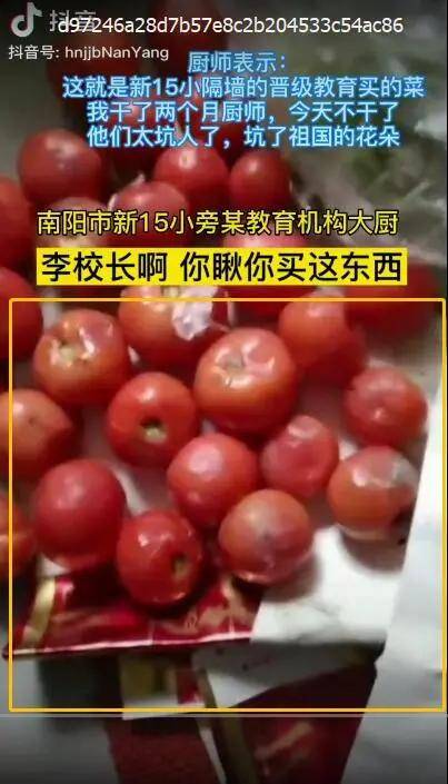 南阳一教培机构购买腐烂西红柿,教育食药监部门已封存