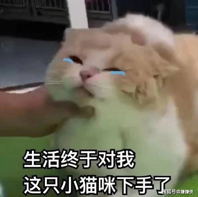 64ec2325c742405ebaeb1dca573b70c4.jpeg