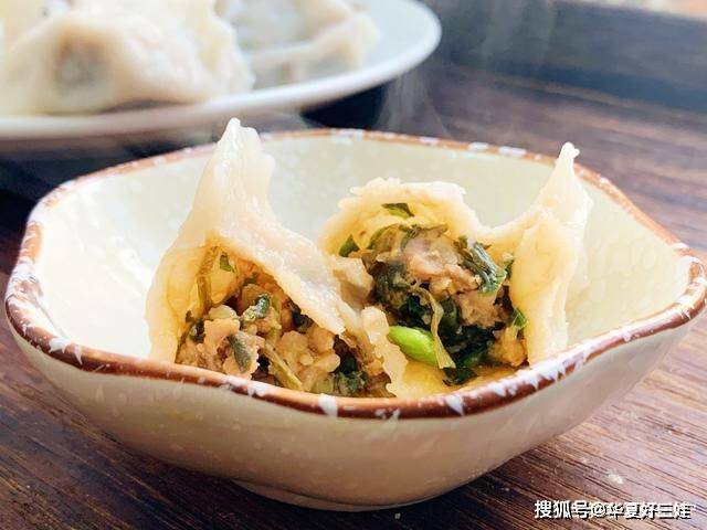 冬天就迷这馅饺子,夏天不要钱,冬天买不到,开胃利肠,比吃肉强_马齿苋