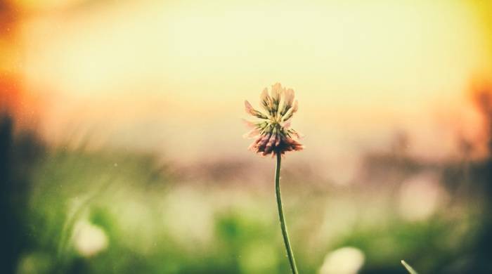 家电厂商站上新起点：不缺消费风口只缺战略坚守-家电圈官网