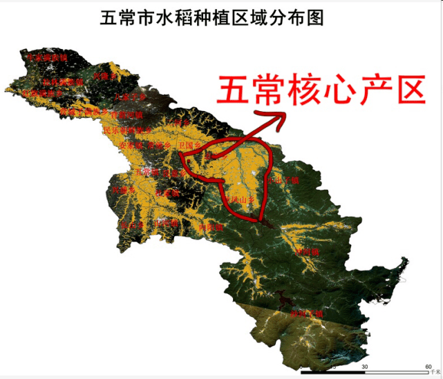 黑龙江优质米业:龙凤山长粒香米业_五常