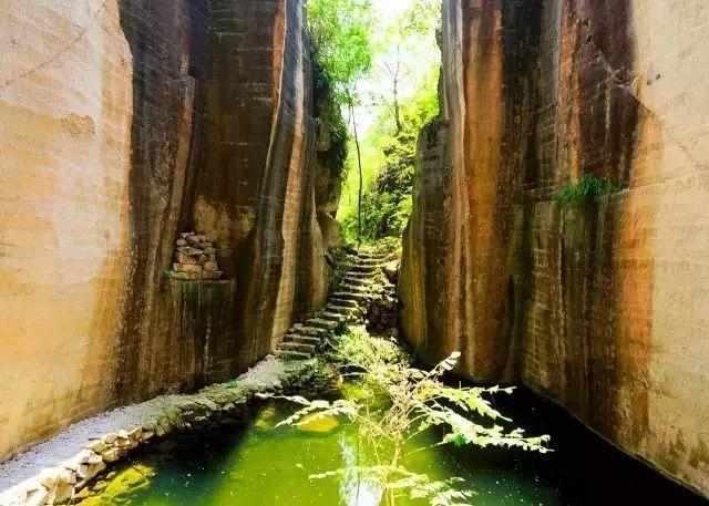 缙云的gdp_缙云烧饼(2)