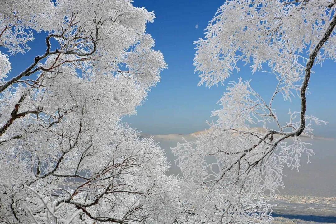 宝鸡这里雪景迷人,岭南公园成网红打卡胜地!