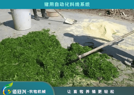 喂猪时为什么要添加青饲料