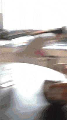 b901dee8d8434b97beec3678a8676506.gif