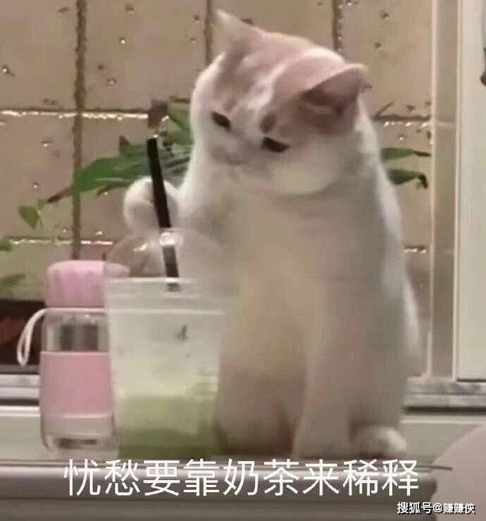 可爱表情包图片:我生气的时候,会这样疯狂摇头