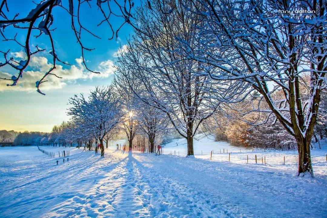 英国第一场雪来了!去英国哪里读书,有机会看到绝美雪景?