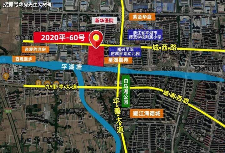 平湖2020年gdp_2020年中国gdp