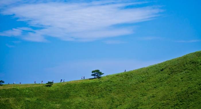 大将主导家电产品迭代新方向，主流企业准备好没？-家电圈官网