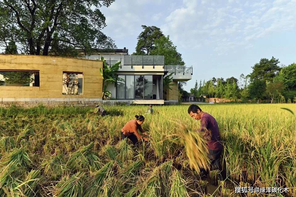 稻田梦影，探索内心深处的宁静与丰收