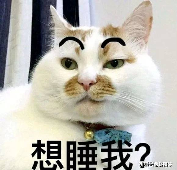 可爱表情包图片:想和我一起睡?开心