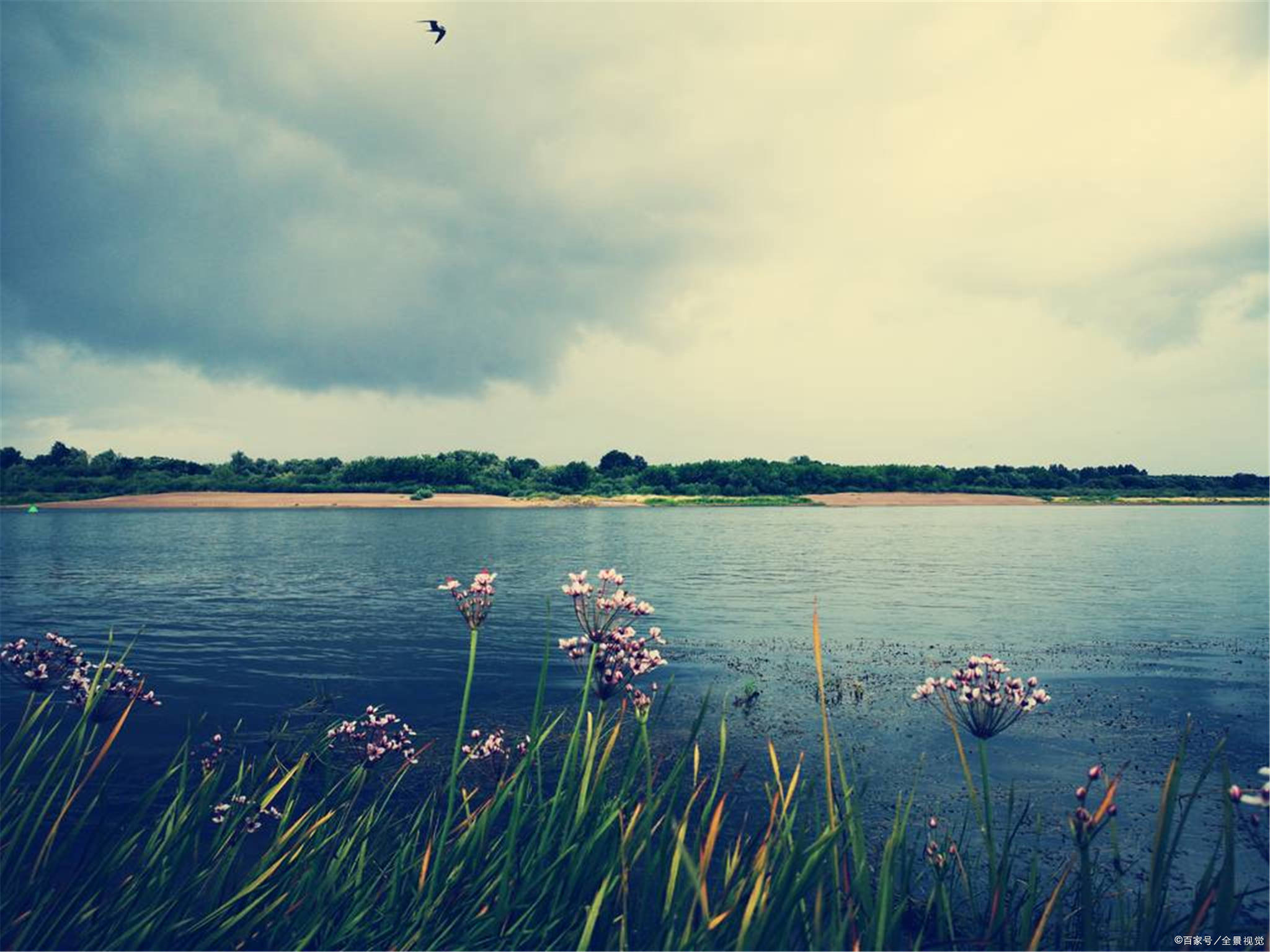 2020年12生肖运势排名_2020年十二生肖事业运势详解:部分生肖好运频频