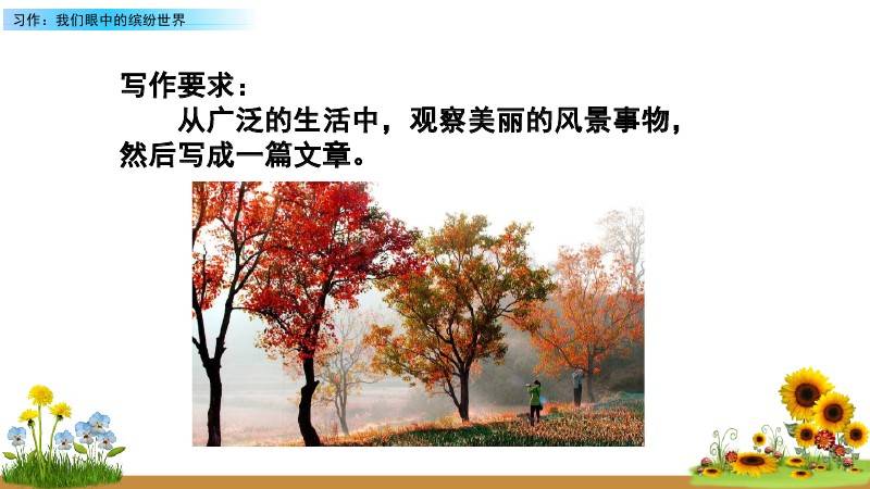 文章配图-14