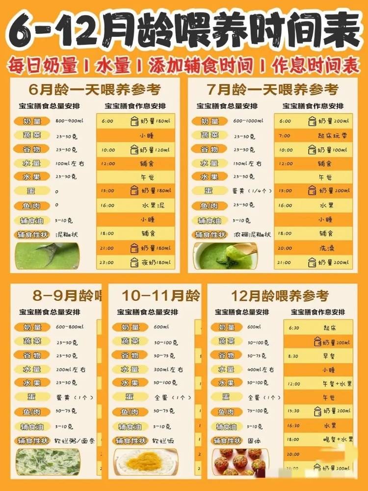 指南建议添加辅食后724个月宝宝的一天喂养安排家长收藏