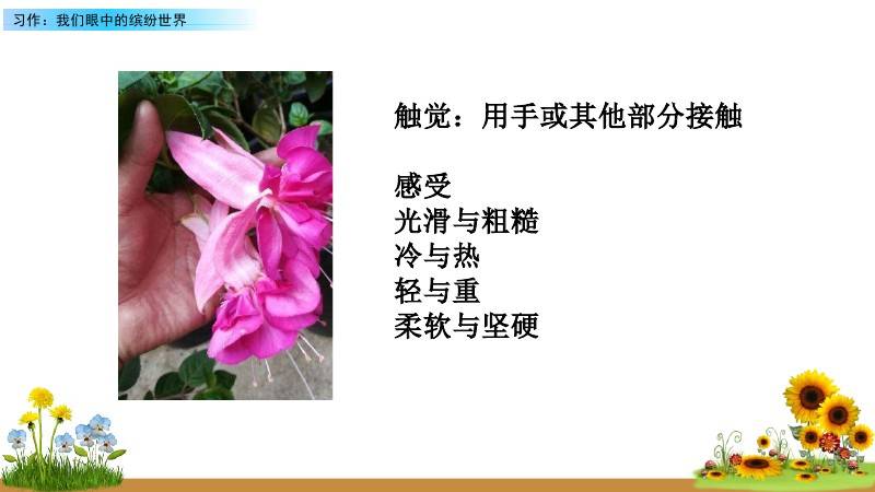 文章配图-21
