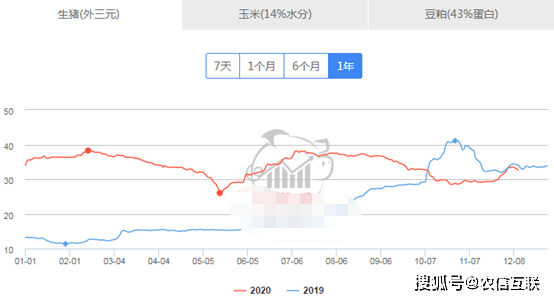 2021漳州gdp怎么涨那么快_写在漳州市区5.20土拍33小时前 2021年漳州房价拐点来了